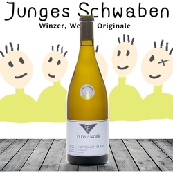 Bernhard Ellwanger Sauvignon Blanc trocken 2021