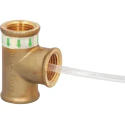 Hygieneset SEPP Eis, DN 15 (1/2“) (Ausführung: Hygieneset SEPP Eis DN 15 1/2'')