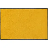 50 x 75 cm honey gold