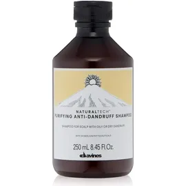 Davines Naturaltech Purifying Shampoo 250 ml