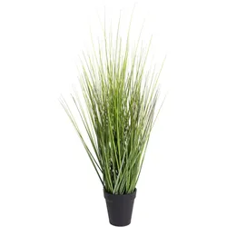Kunstgras BOTANIC-HAUS "Gras Festuca", grün, B:22cm H:60cm T:22cm Ø:22cm, Kunststoff, Kunstpflanzen