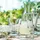 La Rochere Biene Abeille Wasserglas 0,26 l 6-tlg.