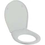 Geberit Renova Comprimo Pergamon