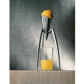 Alessi Juicy Salif