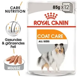 ROYAL CANIN Coat Care Adult Mousse 12x85 g