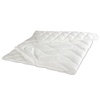 Bestschlaf 4-Jahreszeiten Bettdecken-Set »Premium Thinsulate«, 135x200 cm