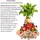 VitalLife Immunstark Kapseln 180 St.