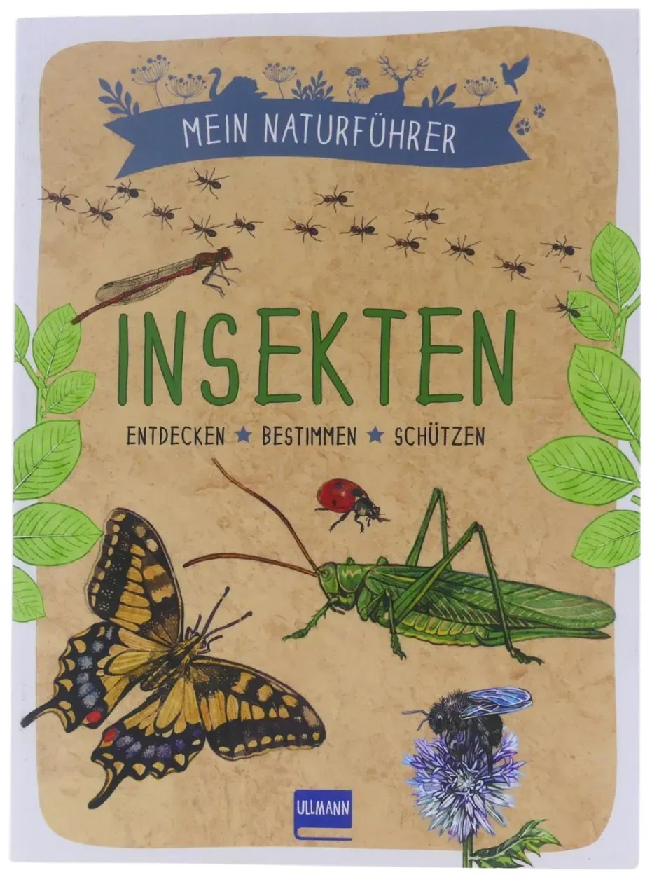 Mein Naturführer: Insekten Entdecken ? Bestimmen ? Schützen ullmann kartonier...
