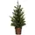 Fééric Lights and Christmas Weihnachtsbaum Helsinki Grün 70 cm