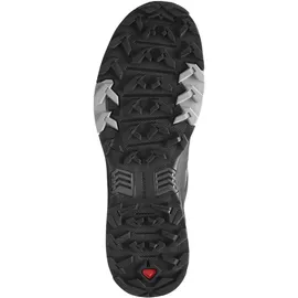 Salomon X Ultra 4 GTX Herren Magnet/Black/Monument 40 2/3