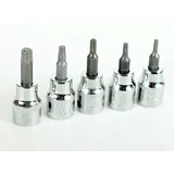 Saltus Bit- und Steckschlüsselset SALTUS 3/8\ Steckschlüssel Bit-Einsatz-Set 5 tlg T10-T40 Nuss Sc...