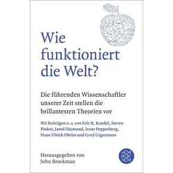 Wie funktioniert die Welt?