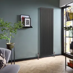 Gliederheizkörper (2-säulig), vertikal | Größe wählbar | Zinn – Regent