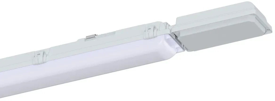 Schuch Licht LED-Notleuchte 161PX 06L12/3 H50 MA