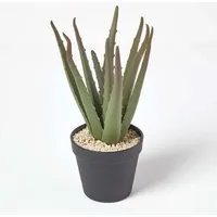Homescapes - Klein Künstliche Echte Aloe Vera in schwarzem Topf, 30 cm hoch