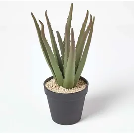 Homescapes - Klein Künstliche Echte Aloe Vera in schwarzem Topf, 30 cm hoch