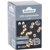 Dehner LED-Lichterkette 80 LEDs, warmweiß/kaltweiß, Grün