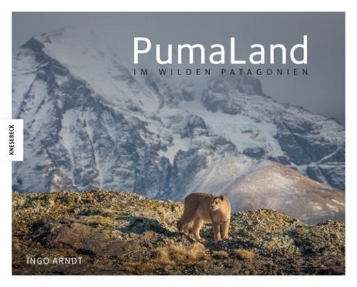 Pumaland - Ingo Arndt  Gebunden