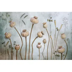 Fototapete PAPERMOON "Photo-Art MANDY DISHER, MOHN", bunt, B:4,50m L:2,80m, Vlies, Tapeten