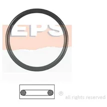 EPS Dichtung, Thermostat