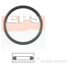 EPS Dichtung, Thermostat