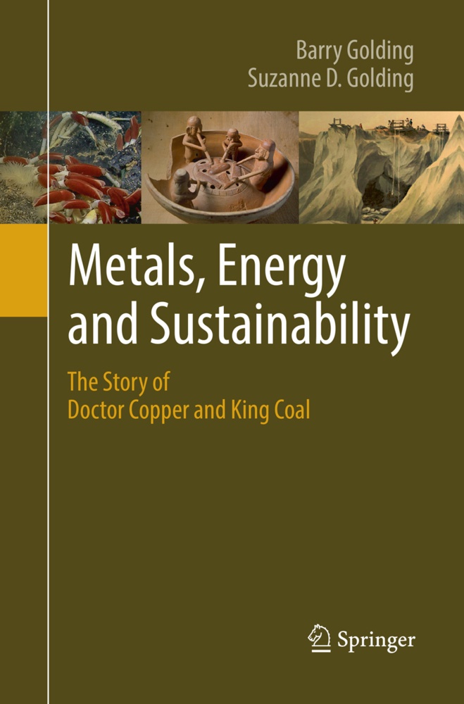 Metals  Energy And Sustainability - Barry Golding  Suzanne D. Golding  Kartoniert (TB)