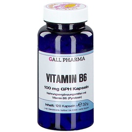 Hecht Pharma Vitamin B6 100 mg Gph Kapseln