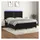 vidaXL Boxspringbett mit Matratze & LED Schwarz 180x200 cm Samt