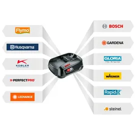 Bosch AdvancedRecip 18 inkl. Akku 2,5 Ah (06033B2401)
