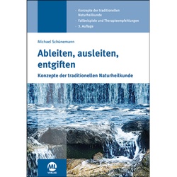 Ableiten, Ausleiten, Entgiften - Michael Schünemann, Marie Allmann, Gebunden