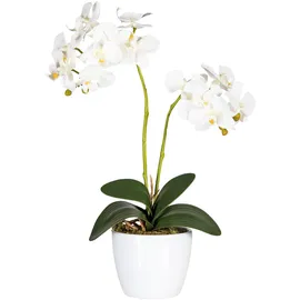 Creativ green Kunstpflanze Phalaenopsis Orchidee, Creativ green, Höhe 50 cm weiß