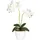 Creativ green Kunstpflanze Phalaenopsis Orchidee, Creativ green, Höhe 50 cm weiß