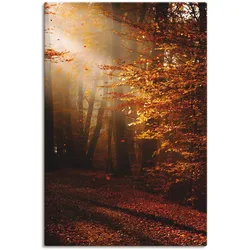 Wandbild ARTLAND "Sonnenaufgang im Herbst", gold (farbe bild(er): goldfarben), B:60cm H:90cm T:1,8cm, Canvas, Leinwand, Bilder, als Leinwandbild, Poster in verschied. Größen