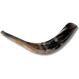 Spring Nahal Authentischer und koscherer polierter Ramhorn-Schofar aus Israel (45,7 cm – 50,8 cm)