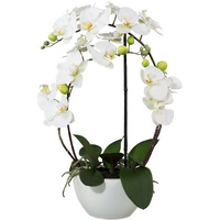 wohnfuehlidee Kunstpflanze Orchidee Phalenopsis, weiß, mit Deko-Keramik-Schale, Kunstblume Höhe 52 cm, Künstliche Orchidee im Topf