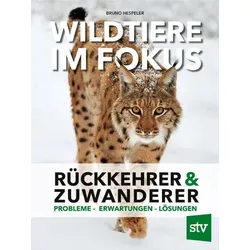 Wildtiere im Fokus