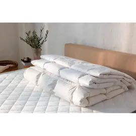 RIBECO "Laram, Bettdecken für Sommer oder Winter, Made in Germany, weiß, B:135cm L:200cm, Bezug: 100% Baumwolle. Füllung: Federn, 10% Daunen, Bettdecken, Super Preis-Leistung, Bettdecke 135x200 cm oder 155x220 cm, Decke