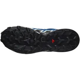 Salomon Speedcross 6 Gore-Tex Herren Poseidon / Black / Lunar Rock 40