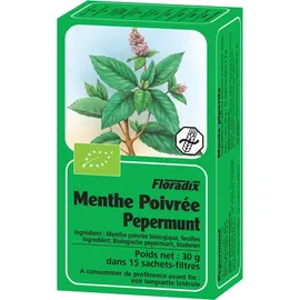 SALUS Pfefferminz Tee Menthae piperitae folium bio Salus