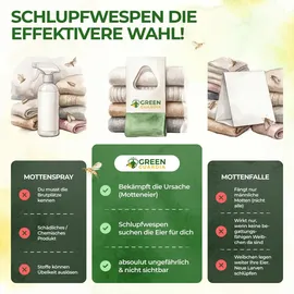 green guardia Schlupfwespen gegen Kleidermotten Mottenfalle 3 Karten