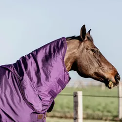 Kentucky Horsewear Neck All Weather Waterproof Pro 150g, XL