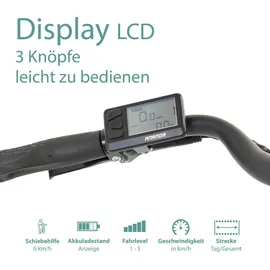 Tretwerk Sonic Nexus 28 Zoll RH 50 cm Damen weiß