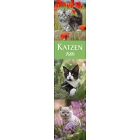 Korsch Katzen Langplaner 2026