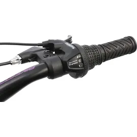 Bikestar 20 Zoll RH 30 cm türkis