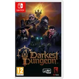 Darkest Dungeon II (NSW)