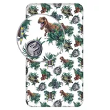 Jerry Fabrics Spannbettlaken Baumwolle 90 x 200 cm Jurassic World