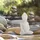Relaxdays Buddha Figur 17 cm hoch, Garten-Dekofigur, wetterfest & frostsicher, Dekoskulptur Wohnzimmer, weiß