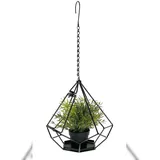 DanDiBo Ambiente Blumenampel 29 x 64 x 29 cm Schwarz