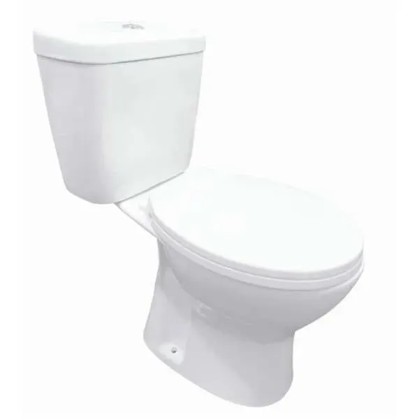 DM-San Duschmeister Spülrandloses Stand-WC mit WC-Sitz.. - Badkeramik