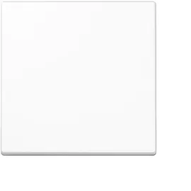 Jung Steuertaste Standard A 1700 WW